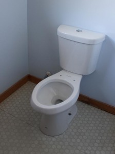High Efficiency Elongated Dual Flush All-in-One Toilet